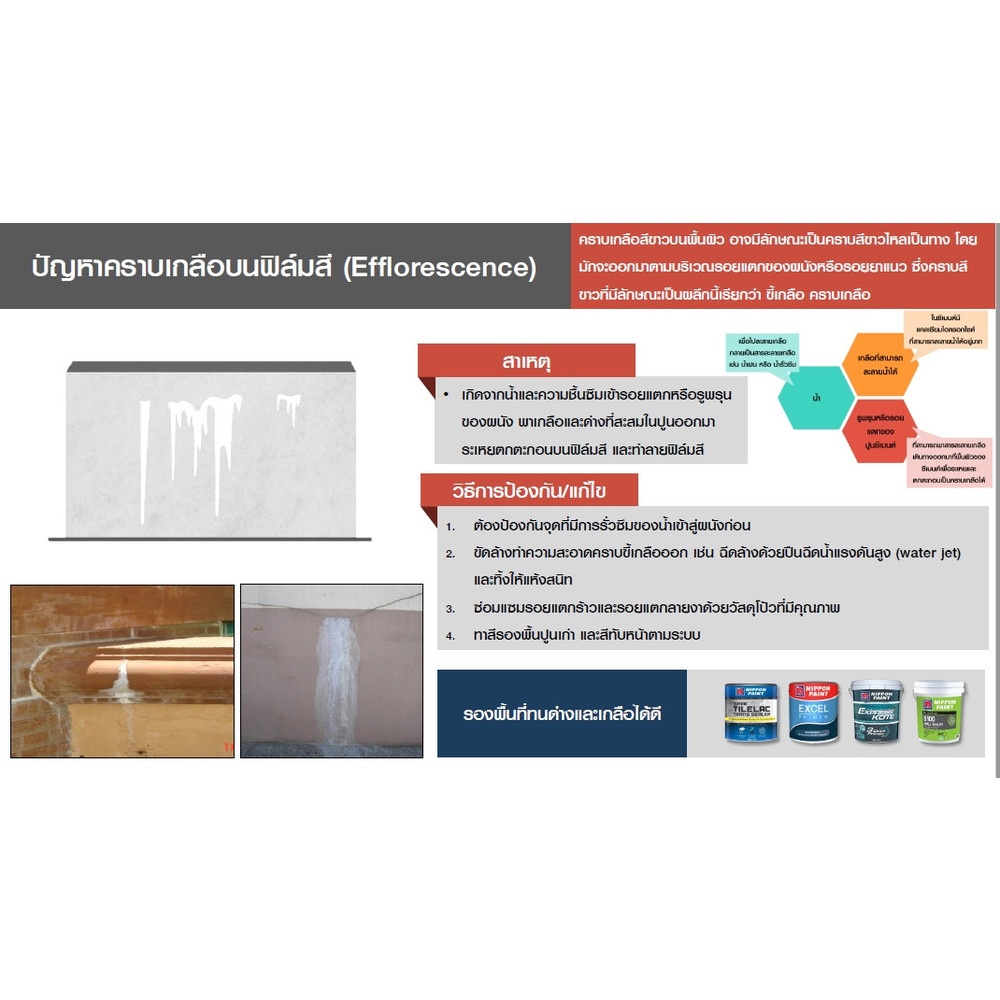 NIPPON PAINT สีรองพื้นอเนกประสงค์ FLEXISEAL ขนาด 20 กิโลกรัม สีขาว
