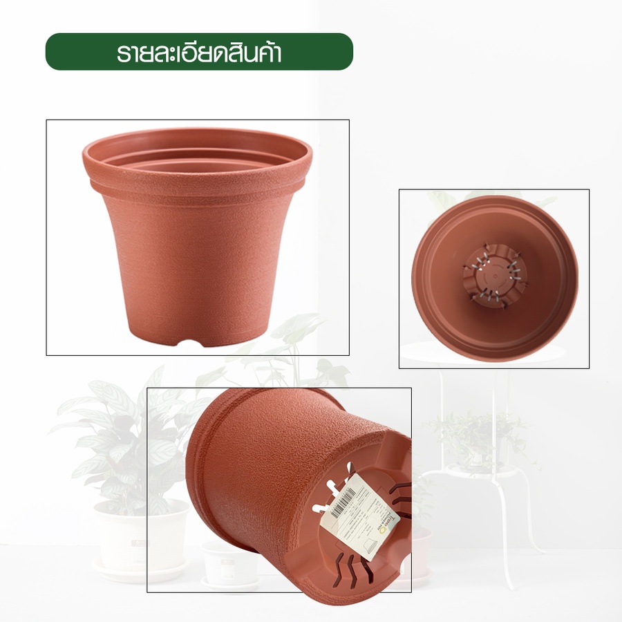 Tree’ O กระถางต้นไม้ รุ่น PY-2017RD ขนาด 15 x 15 x 12 ซม. (6นิ้ว) สี แดงอิฐ