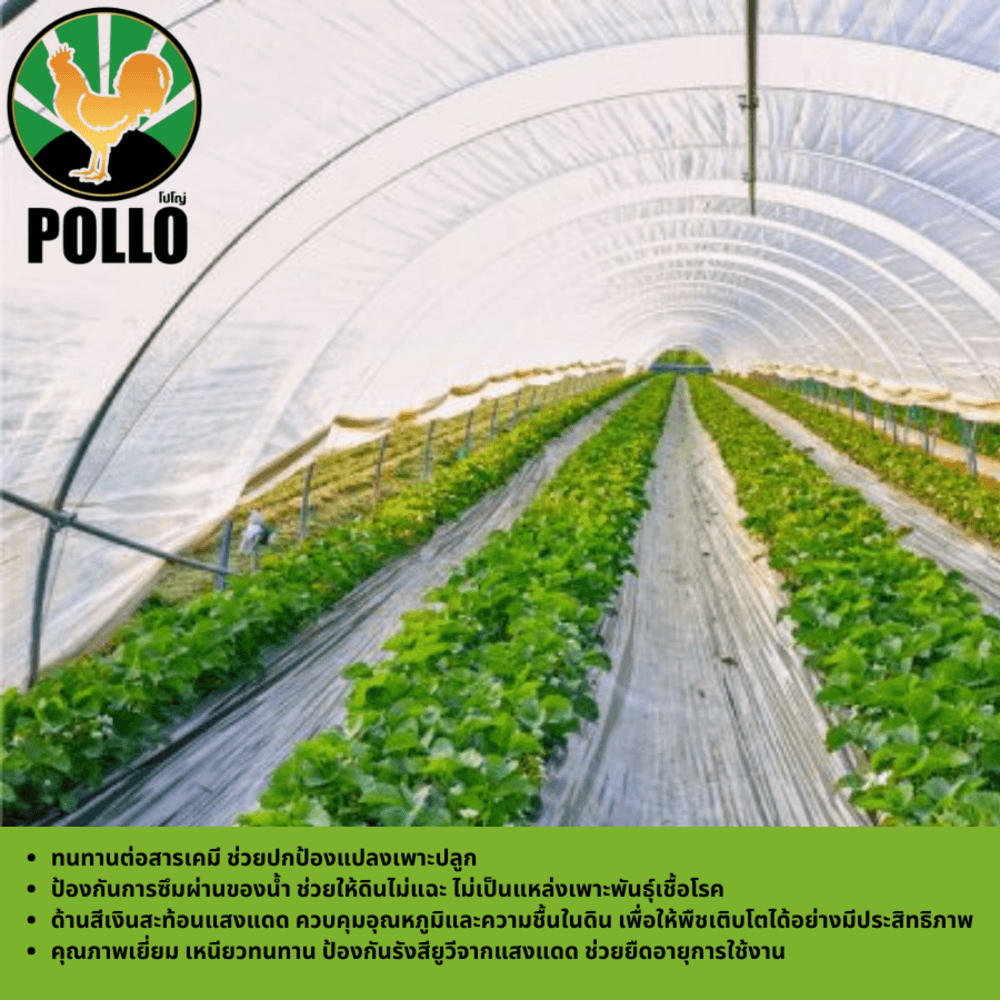 POLLO พลาสติกปูดิน 1.20m.x360m. 35ไมครอน ดำ/เงิน