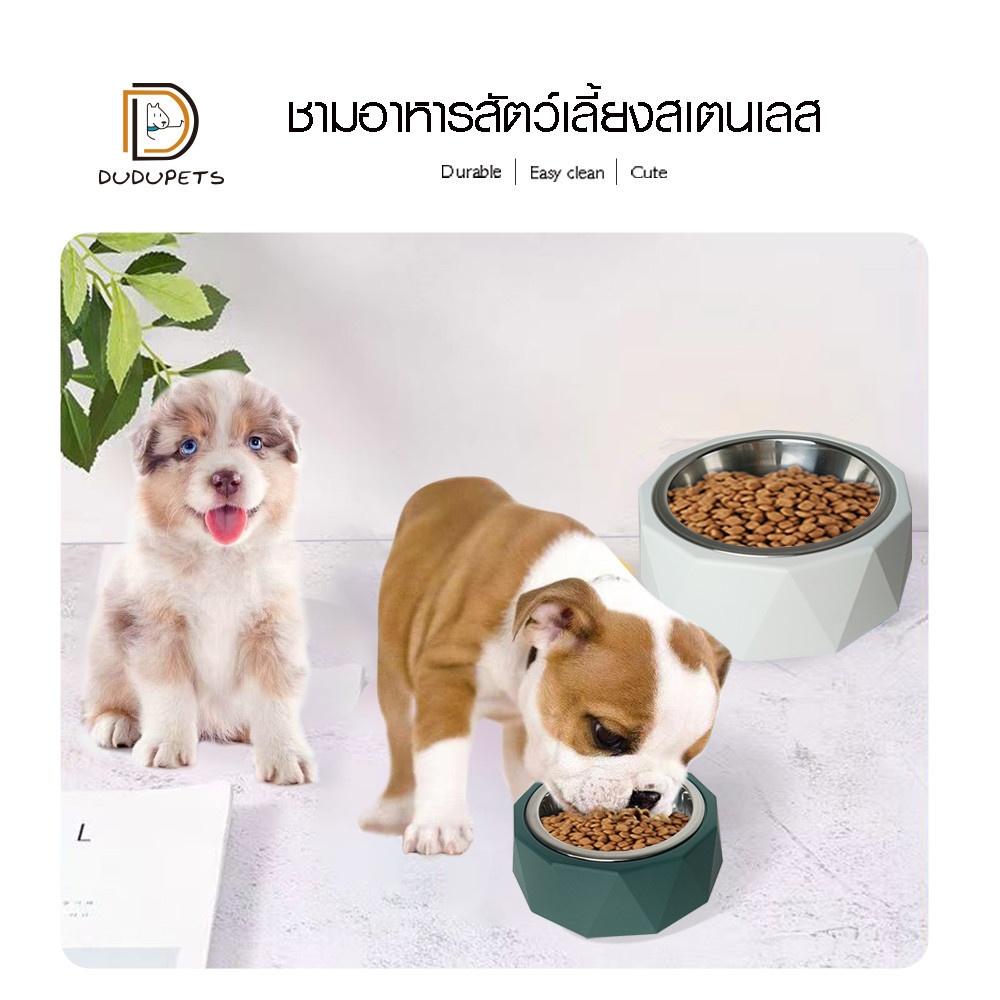 DUDUPETS ชามอาหารสัตว์เลี้ยงสเตนเลส 18.5x7.2ซม. รุ่น COCHO-07 สีขาว