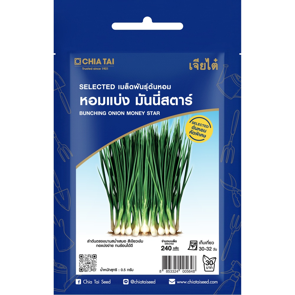 เจียไต๋ เมล็ดพันธุ์- หอมแบ่ง มันนี่สตาร์ คัดพิเศษ