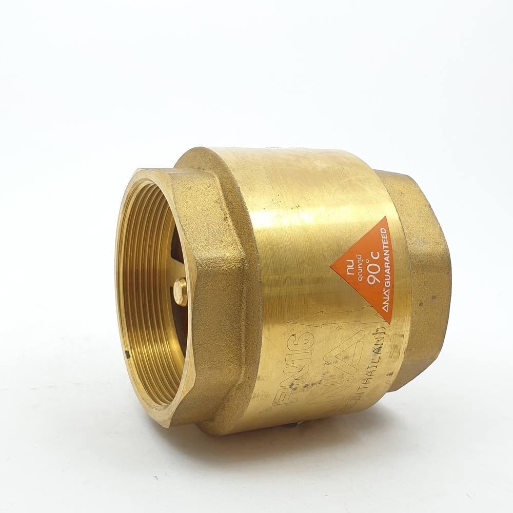 ANA เช็ควาล์วสปริงทองเหลือง 2 1/2" สปริงสเตนเลส รุ่น BC