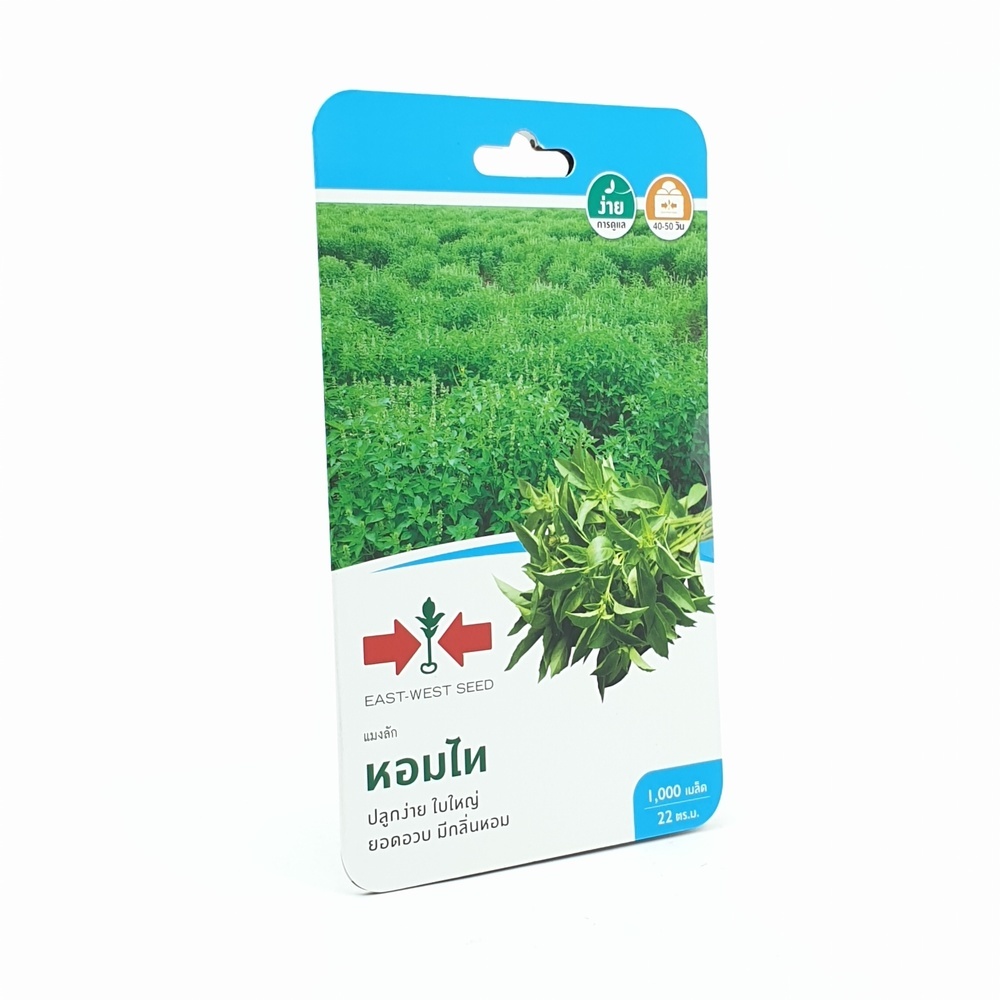ศรแดง เมล็ดพันธุ์-แมงลัก หอมไท
