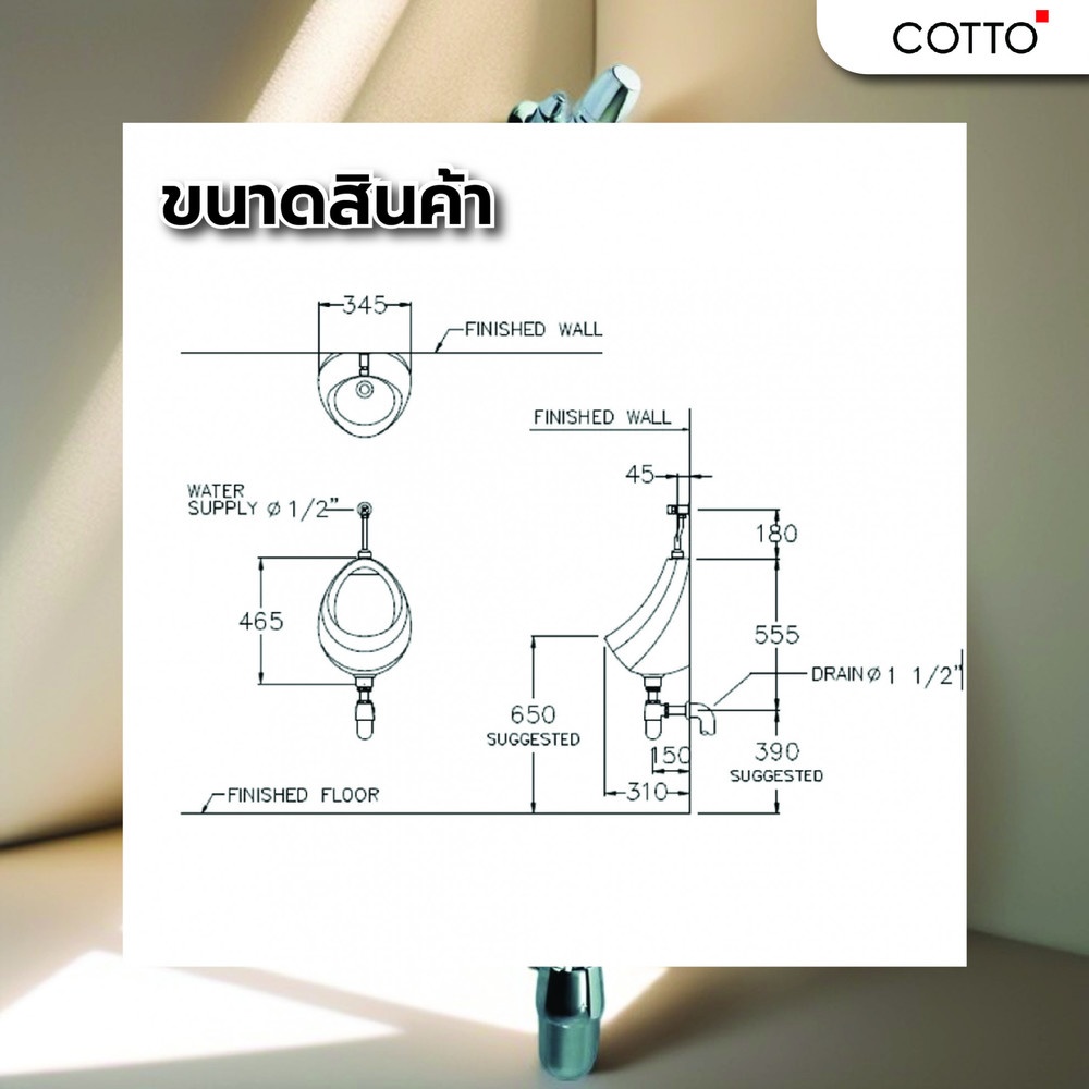 Cotto โถปัสสาวะ วีนัส C307
