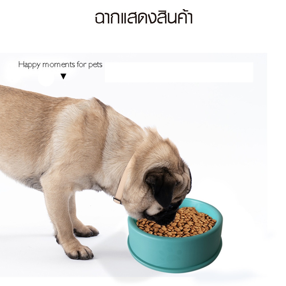 DUDUPETS ชามอาหารสัตว์เลี้ยงพลาสติก 16x18x5.5ซม. รุ่น SPICY-02 สีเขียว