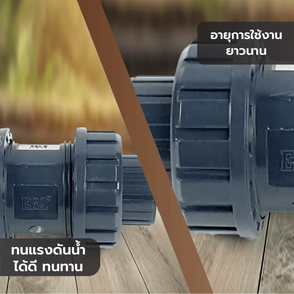 Tree’O วาล์วกันน้ำย้อนกลับยูเนี่ยน 1.1/2"