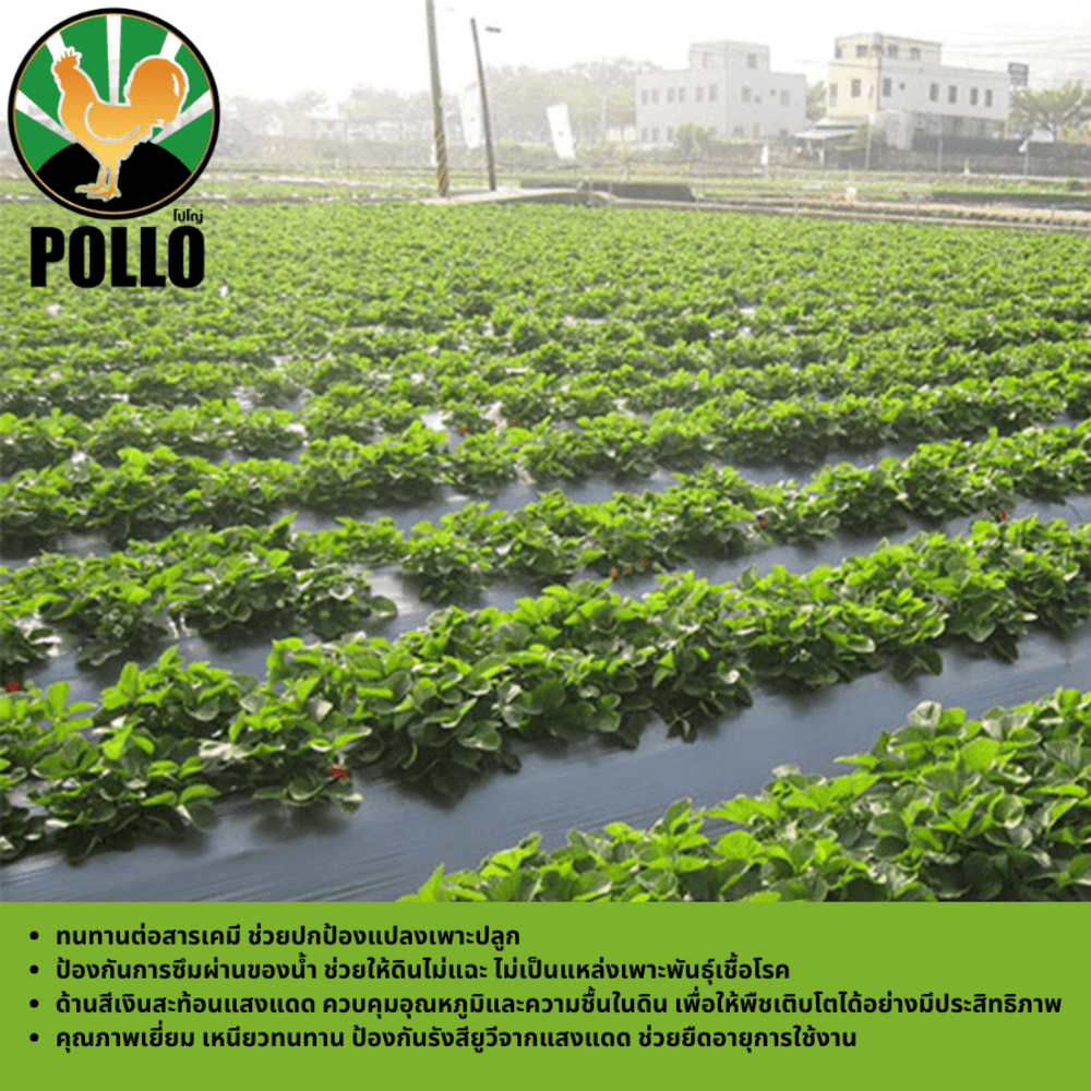 POLLO พลาสติกปูดิน 1.20m.x360m. 35ไมครอน ดำ/เงิน