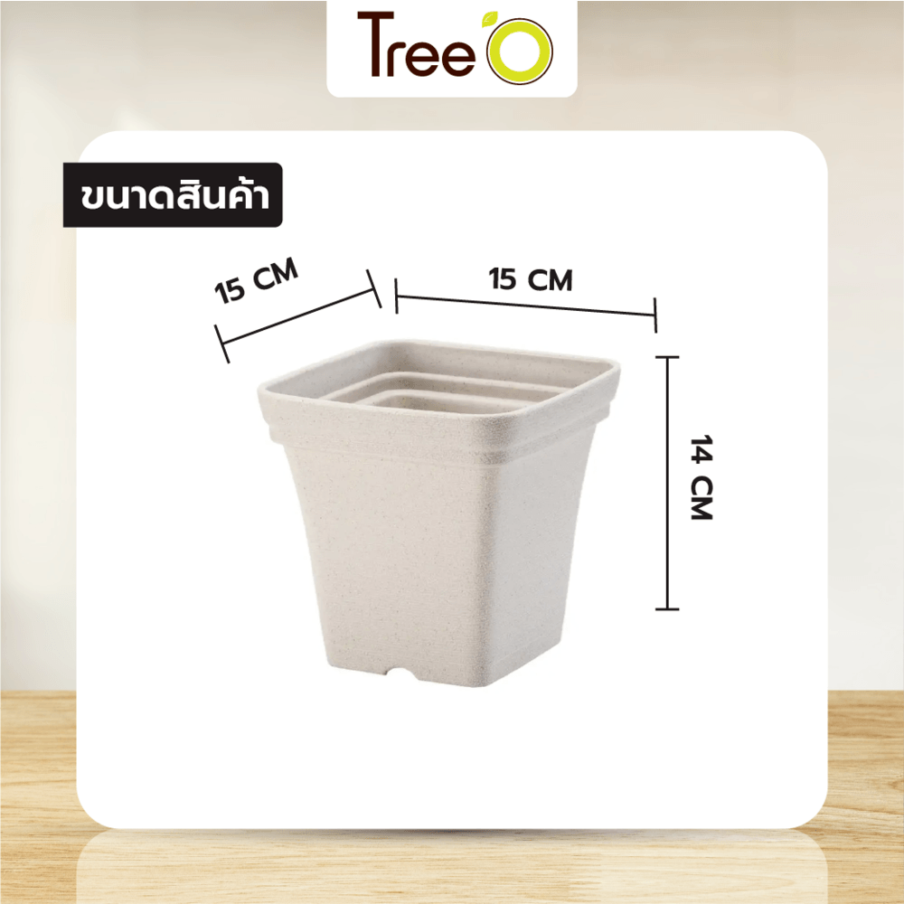 Tree’ O กระถางต้นไม้ รุ่น 6PY022-WH ขนาด 15 x 15 x 14 ซม. (6นิ้ว) สีขาว