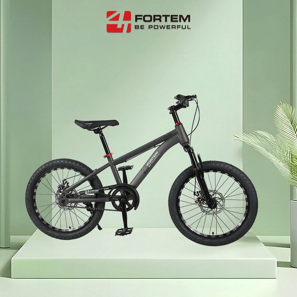 FORTEM จักรยานเด็กเสือภูเขา รุ่น Luna-02 ขนาด 20 นิ้ว สีเทา