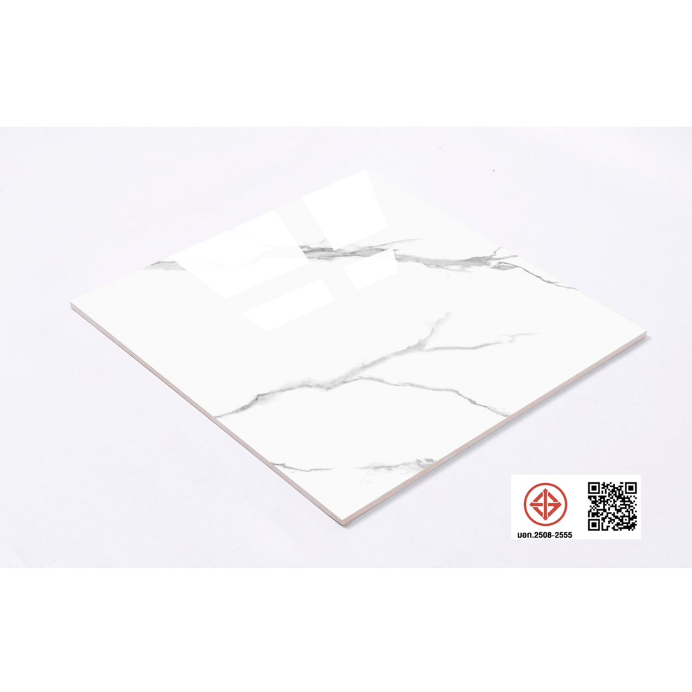 Marbella กระเบื้องพอร์ซเลน 60x60 ซม. รุ่น คาร่าจีน่า LT6619 Gloss (4P) Random