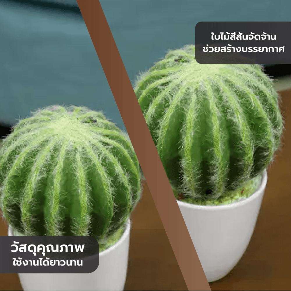 แคคตัสประดิษฐ์ XJLRD-21XRQ สูง 24CM