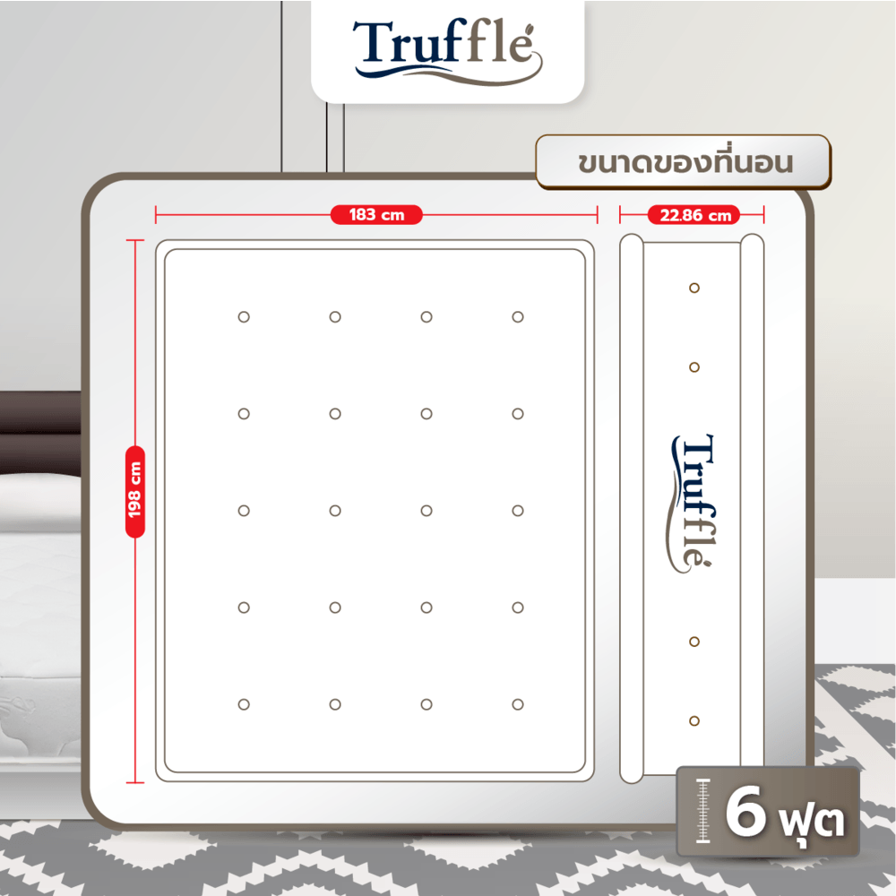 TRUFFLE ที่นอนยางพาราอัด Non Spring รุ่น Clinton หนา9นิ้ว ขนาด 6 ฟุต รับประกัน 8 ปี