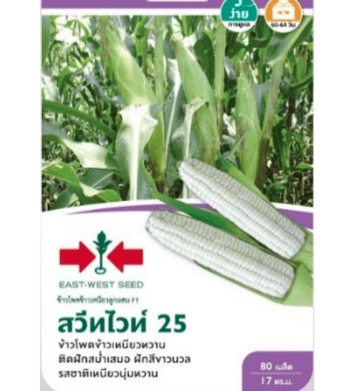 ศรแดง เมล็ดพันธุ์-ข้าวโพดข้าวเหนียวลูกผสม สวีทไวท์ 25 F1