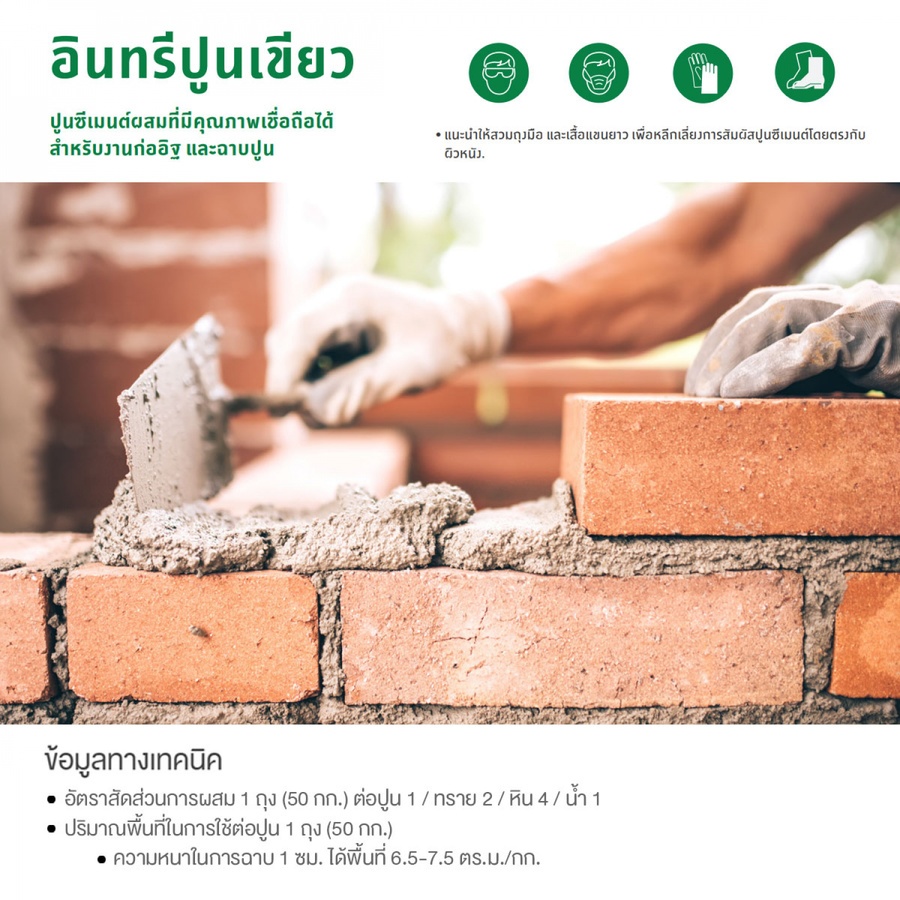ปูนก่อฉาบ นกเขียว