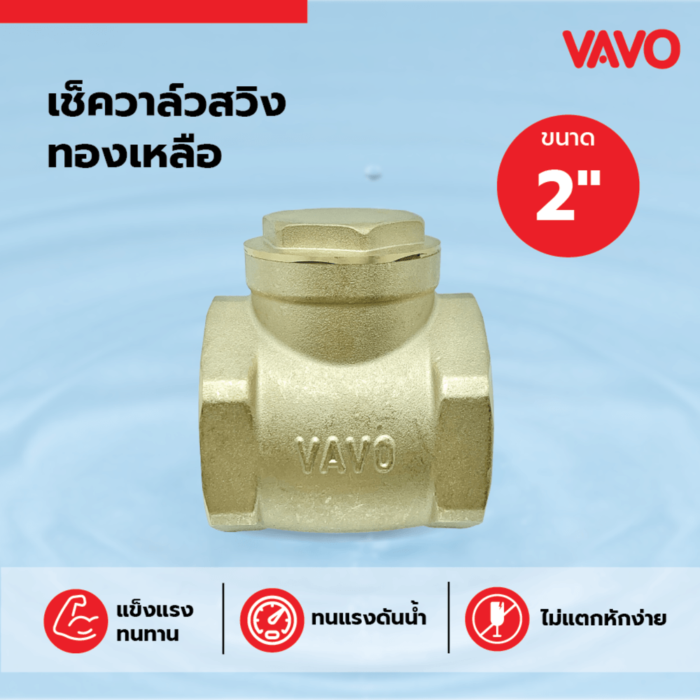 VAVO เช็ควาล์วสวิงทองเหลือง 2