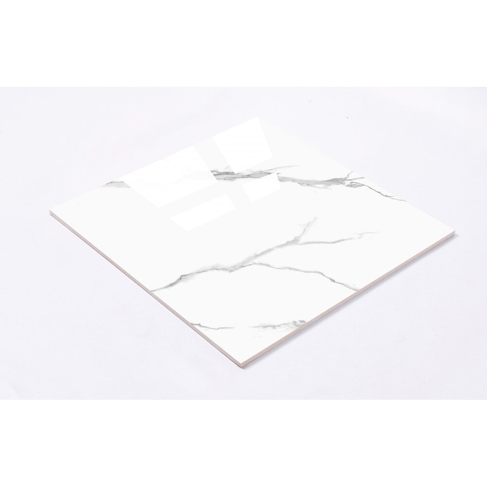 Marbella กระเบื้องพอร์ซเลน 60x60 ซม. รุ่น คาร่าจีน่า LT6619 Gloss (4P) Random