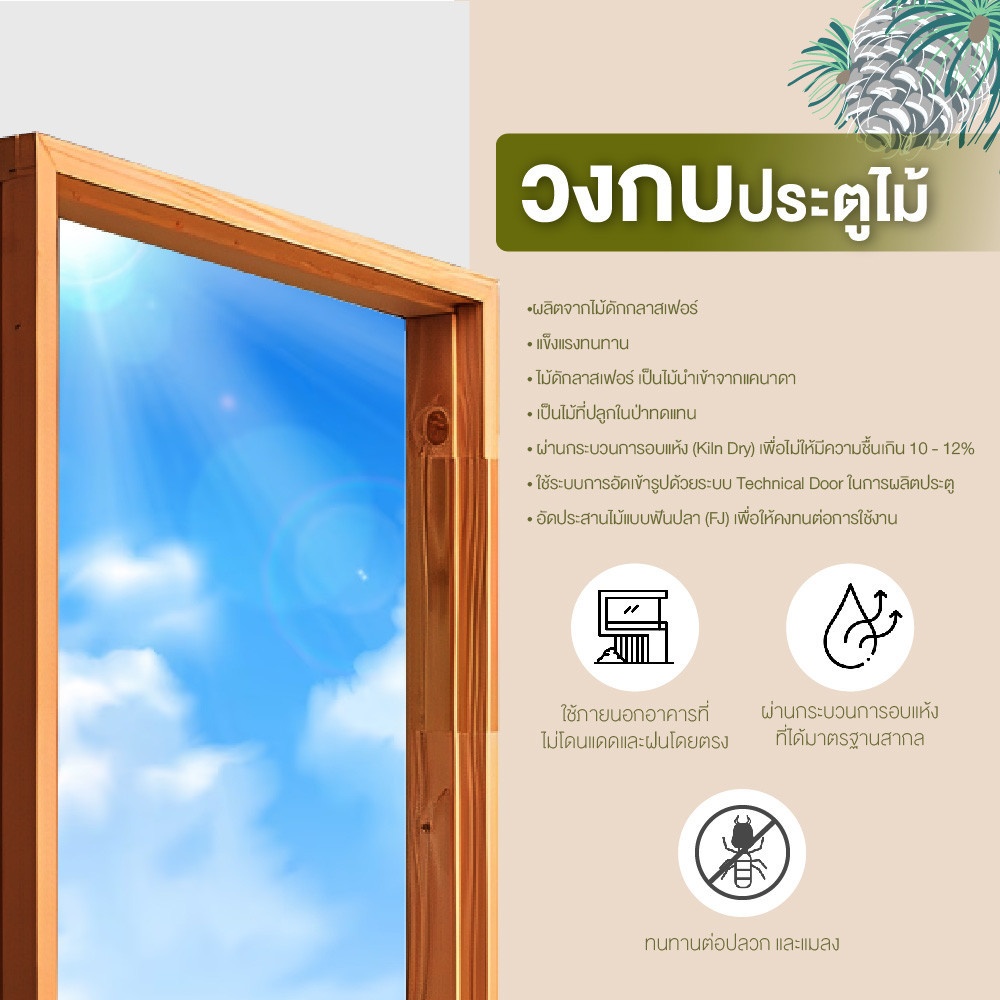 D2D วงกบประตูไม้ ไม้ดักลาสเฟอร์ Eco Pine FJ COM.1 90x200ซม. สิเบรินแอช