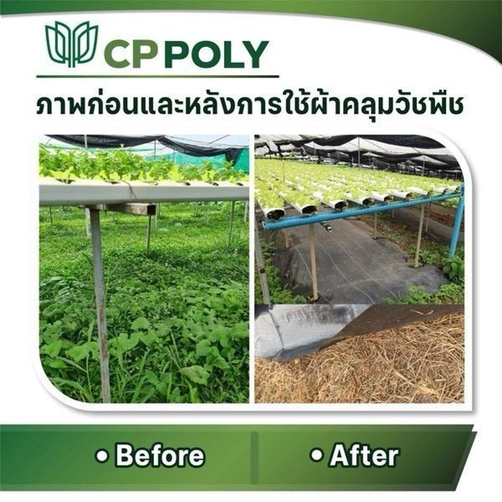 CP ผ้าพลาสติก คลุมวัชพืช 2x10M.