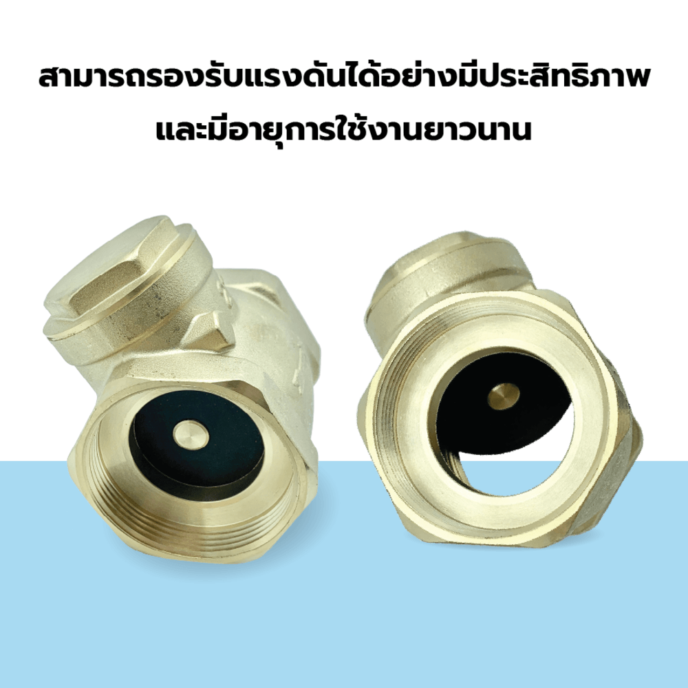 VAVO เช็ควาล์วสวิงทองเหลือง 2