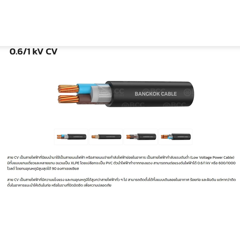 BCC สายไฟ kV CV 2x4 ตร.มม. 100 m. สีดำ