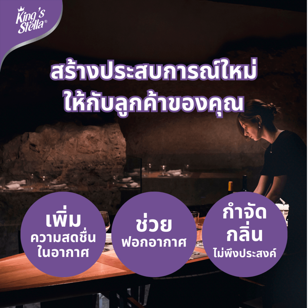 KINGS STELLA สเปรย์ปรับอากาศ กลิ่นส้ม 300 มล. รุ่น โฮเรกา (1 แถม 1 )