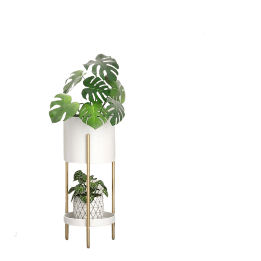 DELICATO ชั้นวางกระถางต้นไม้ รุ่น TY02WT ขนาด 20x20x57.5ซม. สีขาว