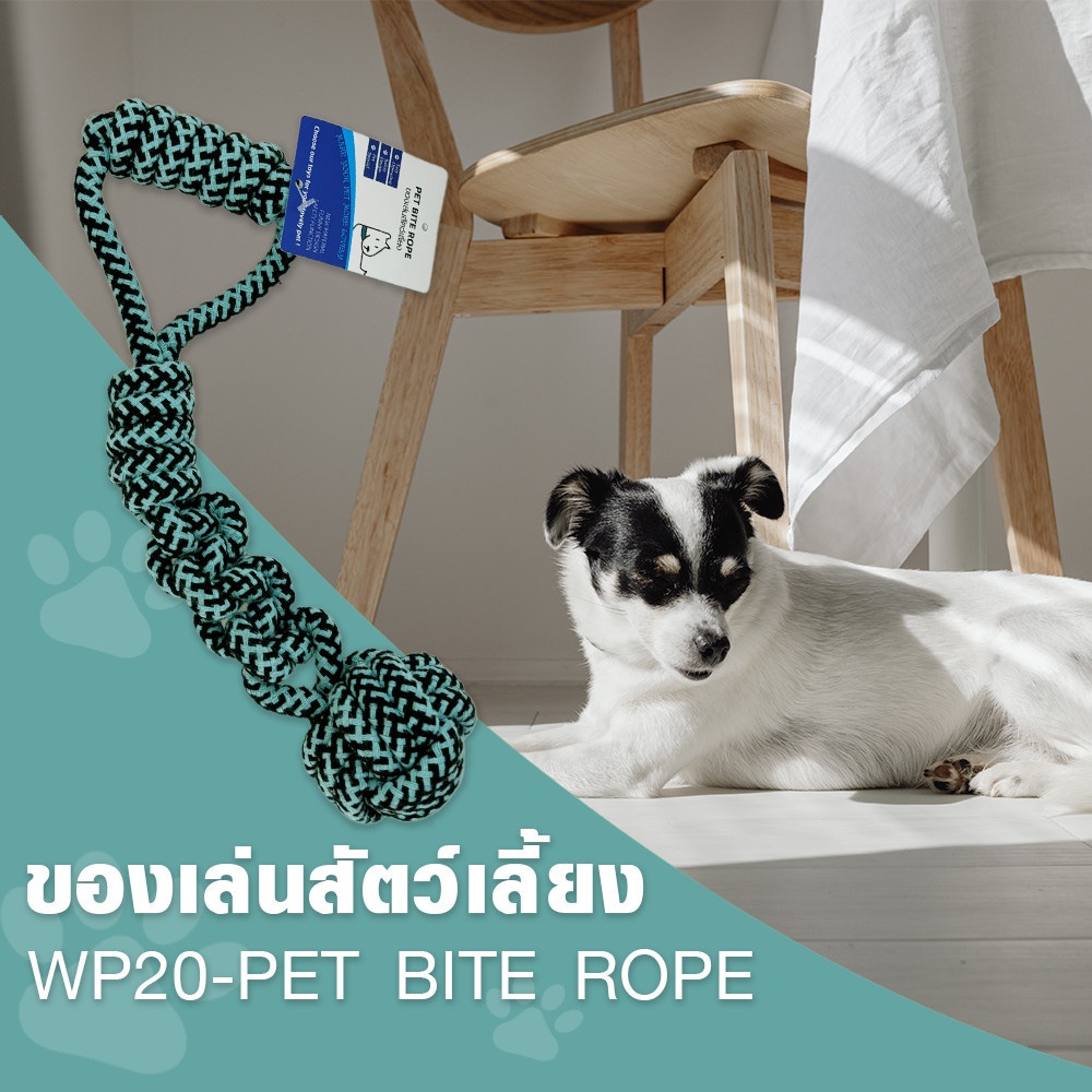 DUDUPETS ของเล่นสัตว์เลี้ยง รุ่นWP20 ขนาด 7X7X38ซม.สีฟ้า