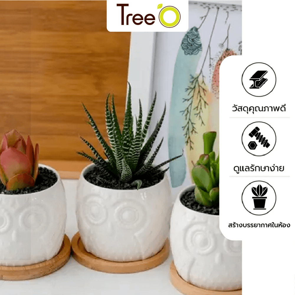 Tree’O กระถางเซรามิก นกฮูกพร้อมจานรอง รุ่น 4LY-003 สีขาว