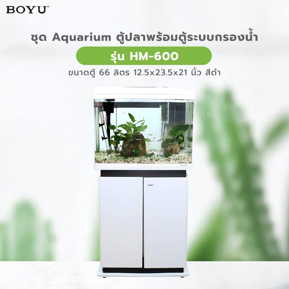 BOYU ชุดAquariumตู้ปลาพร้อมตู้ระบบกรองน้ำ รุ่นHM-600 ขนาดตู้66ลิตร ก12.5ย23.5ส21นิ้ว สีขาว