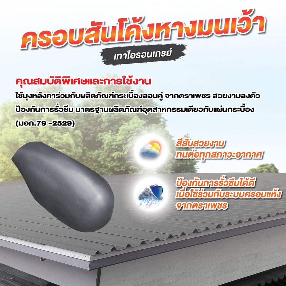 ตราเพชร ครอบสันโค้งหางมน แบบเว้า หลังคาลอนคู่ สีไอรอนเกรย์