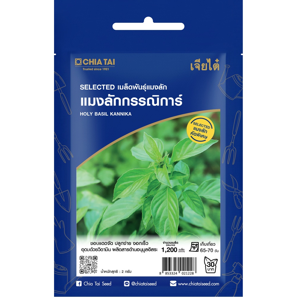 เจียไต๋ เมล็ดพันธุ์- แมงลัก กรรณิการ์ คัดพิเศษ