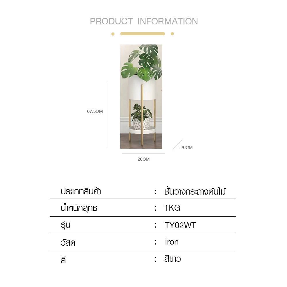 DELICATO ชั้นวางกระถางต้นไม้ รุ่น TY02WT ขนาด 20x20x57.5ซม. สีขาว