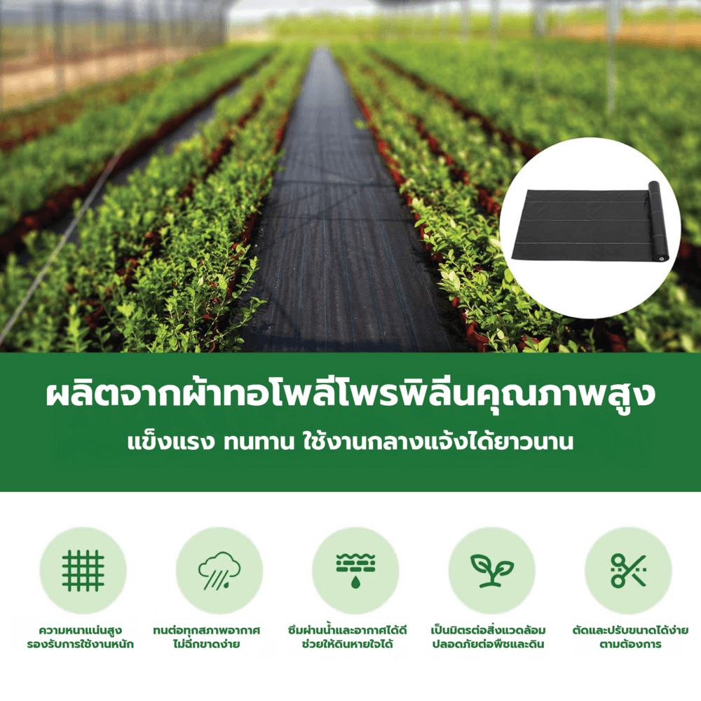 POLLO ผ้าพลาสติกคลุมวัชพืช PP รุ่นWDC210M ขนาด 2x10M สีดำ