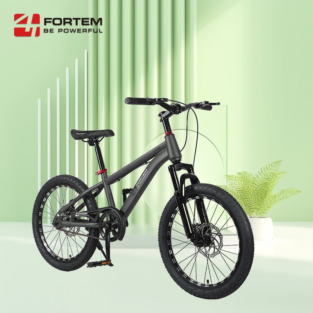 FORTEM จักรยานเด็กเสือภูเขา รุ่น Luna-02 ขนาด 20 นิ้ว สีเทา