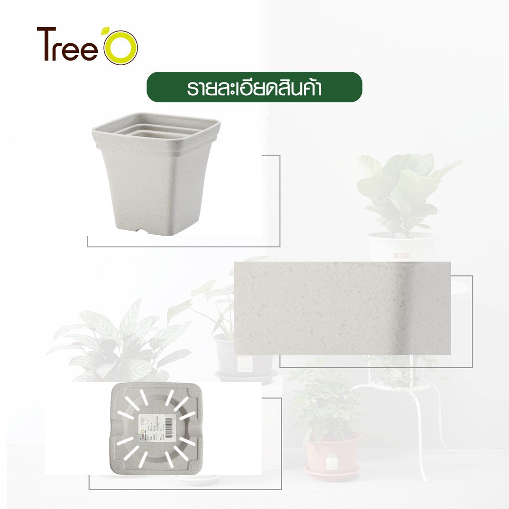 Tree’ O กระถางต้นไม้ รุ่น 6PY022-WH ขนาด 15 x 15 x 14 ซม. (6นิ้ว) สีขาว